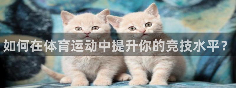 米兰体育场
