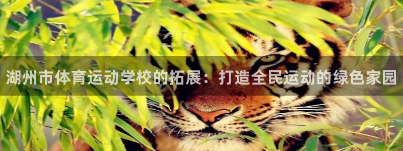 米兰体育官网入口